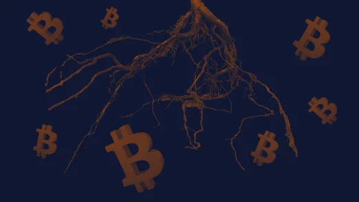 Taproot, the first major upgrade to Bitcoin's code since the introduction of Segregated Witness in 2017, has been activated (Wolfie Zhao/The Block)