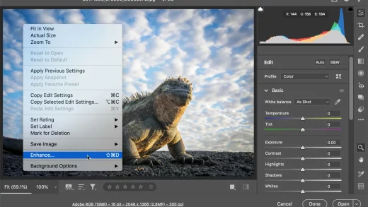 Adobe adds a new feature to Adobe Camera Raw called Super Resolution, which uses AI to double linear resolution of a photo, increasing its pixel count by 4x (Jaron Schneider/PetaPixel)